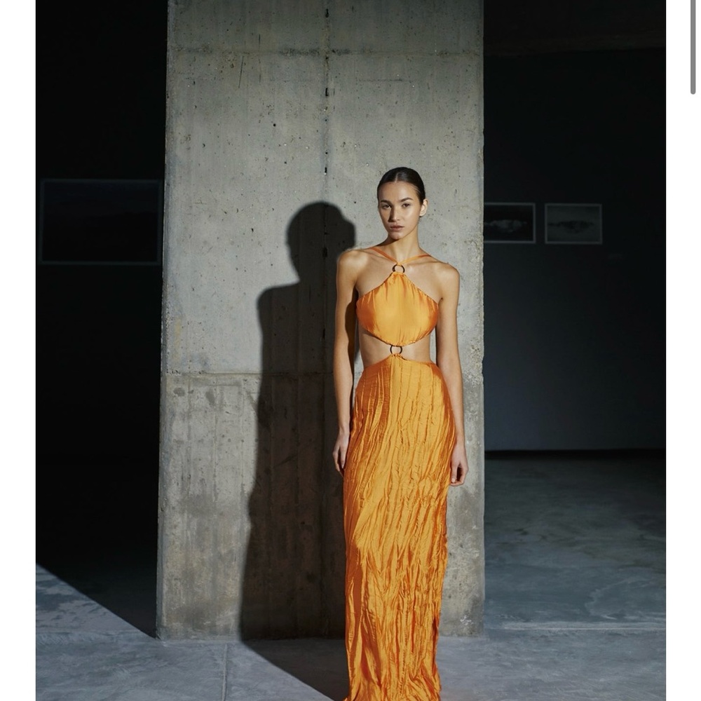 Baobab Kira Maxi Dress | New With Tags